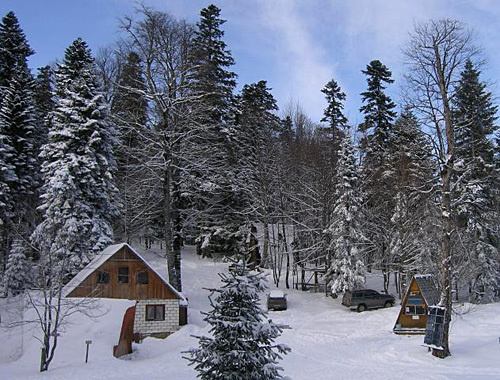 На территории турбазы "Нежная поляна", Адыгея. Фото с сайта www.tourportal.info