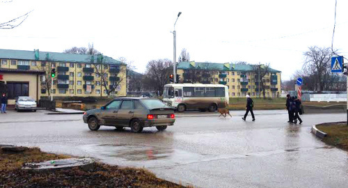 Грозный, Старопромысловский район. Фото Ахмеда Альдебирова для "Кавказского узла"