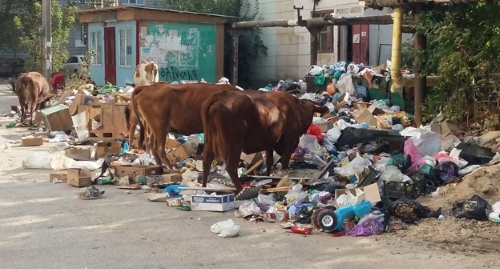 Мусорная свалка на улице Айвазовского в Махачкале. Фото: facebook.com/groups/hororcity