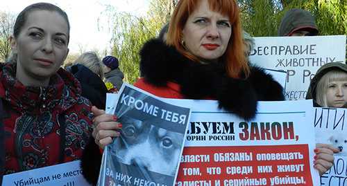 Участница митинга в Волгограде 05.11.2016. Фото Татьяны Филимоновой для "Кавказского узла"