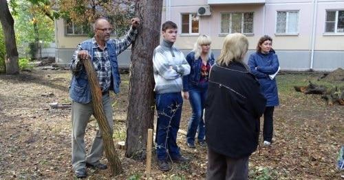 Члены "ЭкоВахты" и местные жители не позволили вырубить деревья во дворе по ул. Селезнева. Краснодар, 14 октября 2017 г. Фото "Экологической Вахты по Северному Кавказу"