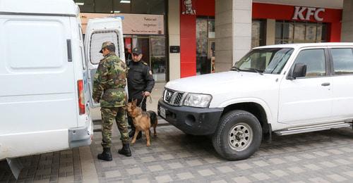 Кинологи с собаками на бакинском железнодорожном вокзале. 21 декабря 2017 года. Фото Азиза Каримова для "Кавказского узла"