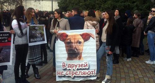 Участники пикета в Сочи, 18 февраля 2018 год. Фото: Светлана Кравченко для "Кавказского узла"