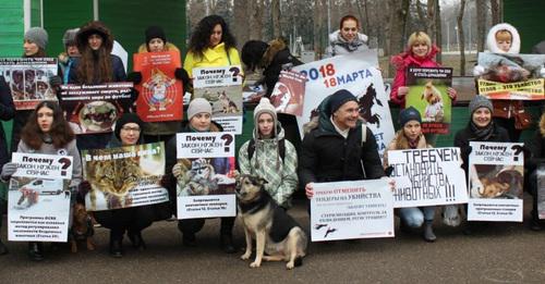 Пикет зоозащитников в Краснодаре. 24 февраля 2018 года. Фото Инессы Гончар для "Кавказского узла"