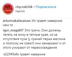Скриншот со страницы сообщества "ЧП/Нальчик, КБР" в Instagram https://www.instagram.com/p/BtQh2FvF9aT/