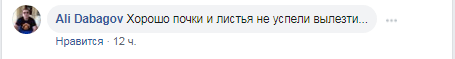 Комментарий пользователя Ali Dabagov в соцсети Facebook https://www.facebook.com/groups/ROD07/permalink/2148748225218684/