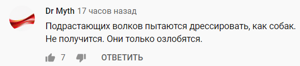 Скриншот комментария к видео "Чеченцев задержали за клич "Б1ачи-Юрт сила"!", https://youtu.be/B952752Vyhg