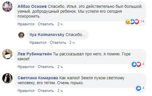 Скриншот со страницы Ильи Колмановского в Facebook https://www.facebook.com/photo.php?fbid=10158348925964082&set=a.10150095748964082&type=3&theater