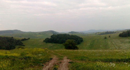 Тавушская область. Фото: Pandukht/By Pandukht  https://ru.wikipedia.org/wiki/Тавушская_область#/media/Файл:Norashen,_Tavush_nature.jpg