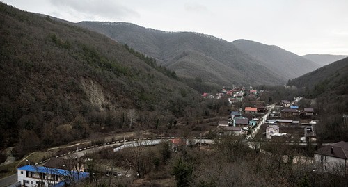 СНТ «Прасковеевка». Фото: Алина Десятниченко / специально для «Новой»