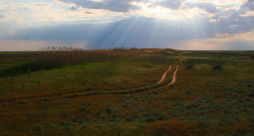 Черноземельский район Калмыкии. Фото: Анастасия Евсеева https://ru.wikipedia.org