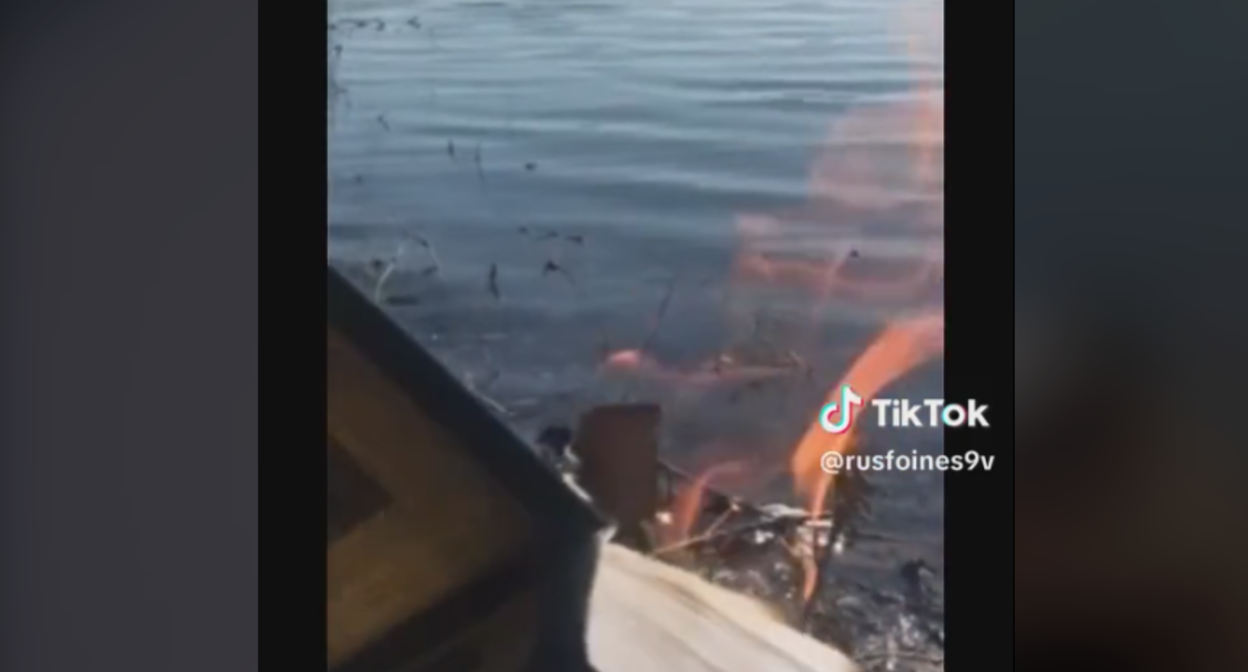 Стоп-кадр видео о сожжении Корана в Москве. Скриншот из TikTok-аккаунта rusfoines9v,https://www.tiktok.com/@rusfoines9v/video/7221832947689606405