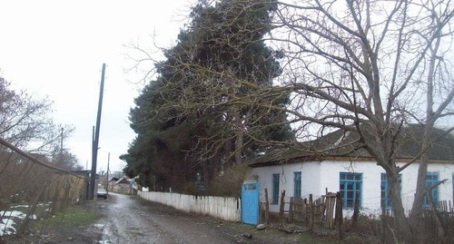 Село Бильбиль-Казмаляр Магарамкентского района Дагестана. Фото: https://blog.welcomedagestan.ru/dagestan/magaramkentskij/bilbil-kazmalyar