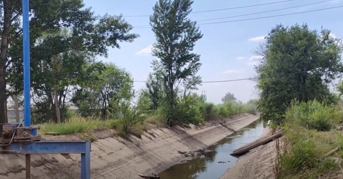 Оросительный канал в Волгоградской области. Скриншот видео Алексея Ульянова https://bloknot-volgograd.ru