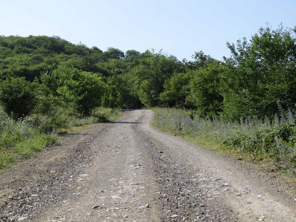 Дорога  в с.Чапар. За поворотом открывается само село.