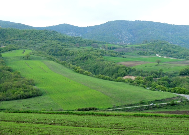 Фото ассорти.